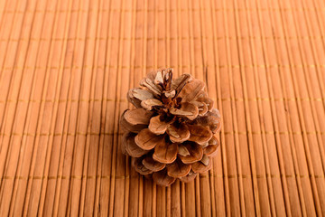 One brown pine cone on dark grey textile material background, with space for text on the right side, brown monochrome indoor background photographed with selective focus