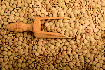 Top view of one wooden spoon many fresh organic green lentil beans on textured bamboo wooden background in warm light, brown monochrome indoor background photographed with selective focus