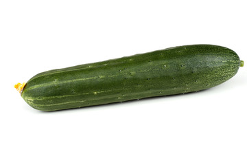 Cucumber