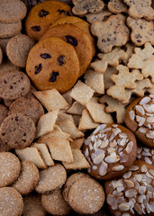 A set of different homemade cookies. Cookies close-up. Background from delicious pastries. Cookie with coconut, mishdal, chocolates, raisins, lingonberries. Round, rhombuses, bears, flowers shapes.