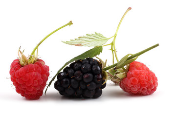 Blackberry and raspberries