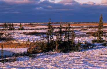 Fototapeta na wymiar coucher de soleil, Toundra, Baie d'Hudson, Churchill, Canada