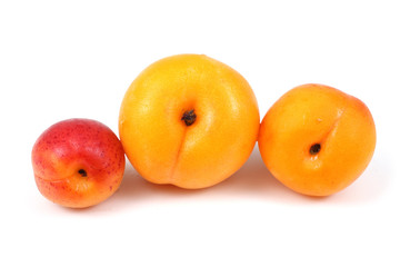 Three apricots