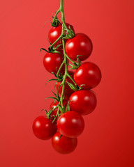 cherry tomatoes isolated on Red background