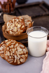 Assorted different cookies. Homemade baking. Cooking, still life food and snack. Cookies background.