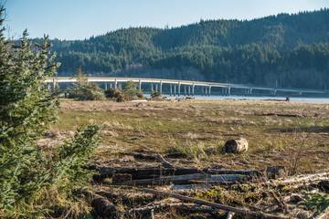 Naselle River Bridge 5