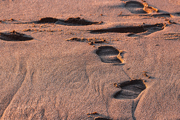 Fototapeta na wymiar Footprints in the sand, vacation, beach, Portugal