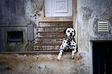 Waiting for my friend!