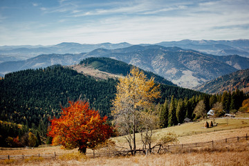 autumn in the mountains