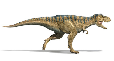 T-rex dinosaur running. side view. © Pixelchaos