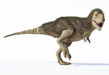 T-rex dinosaur with feathers. 3d rendering. © Pixelchaos
