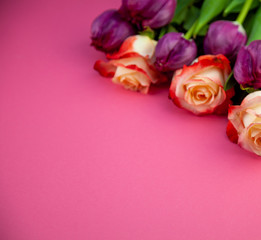 Bouquet of roses and tulips on a plain background. Layout for a greeting card. Spring concept.