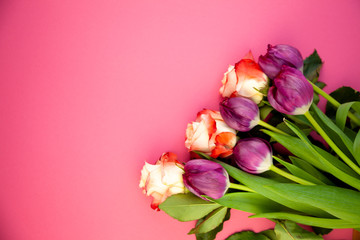 Fototapeta premium Bouquet of roses and tulips on a plain background. Layout for a greeting card. Spring concept.