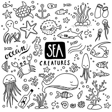 Sea Creatures Doodles