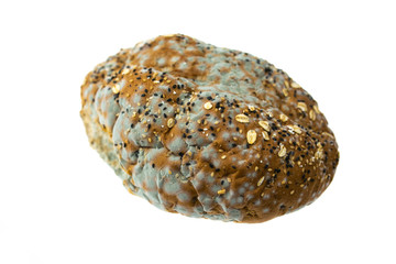 Mildew on bread. Moldy bread on white background.