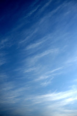 雲