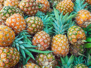 Several ripe pineapples stacked in a fruit market