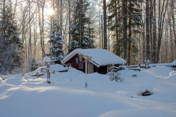 snow-covered wooden hut in the forest in Sweden on a sunny day