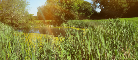 Biotop - Landschaft mit Teich