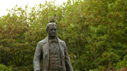 Fototapeta na wymiar Pigeon on a statue head