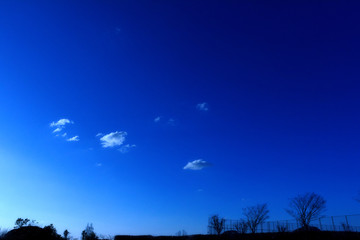 公園