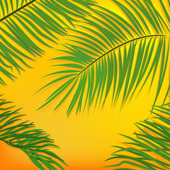 Fototapeta na wymiar yellow background with tropical leaves