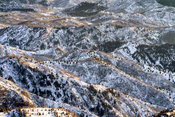 The view on the mountain top is covered with snow, pine trees in the winter are beautiful sunlight.