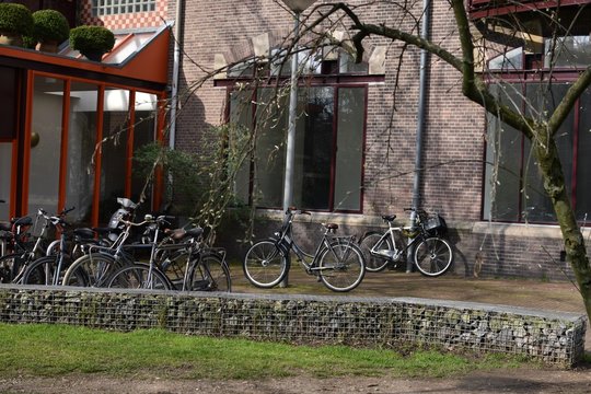 bicilcetas colegio - Powered by Adobe