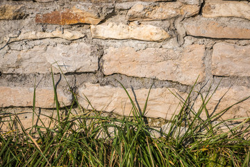 Big stone wall and green grass in the garden