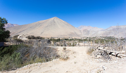 Fototapeta na wymiar Beautiful landscape in Pisco Elqui area