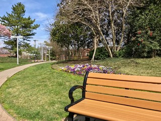 bench in the park with flowers winding path sunny day flowers in the garden USA US America Washington DC United States	