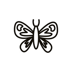 beauty butterfly easter line style icon