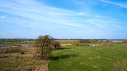 Fototapeta na wymiar Blick auf die Wiesen am Ufer der Elbe bei Glindenberg in Sachsen-Anhalt