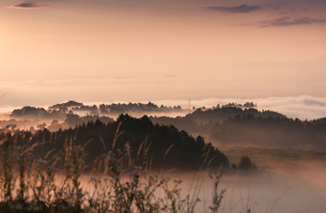 Obraz premium morning foggy landscape in the month of June