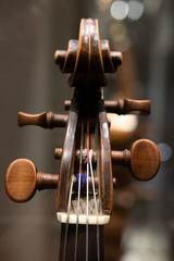Closeups of the strings and bridges of violins and violas