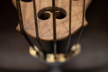 Closeups of the strings and bridges of violins and violas