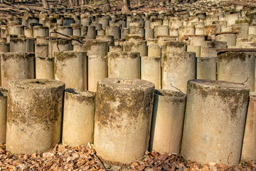Fruska Gora, Serbia - February 13, 2020: The Forest Amphitheatre. Outdoor classroom in forest. Letenka Picnic Area.