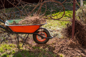 Garden concept. Work at garden at early spring