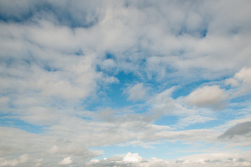 Obraz premium the sky is blue with white clouds