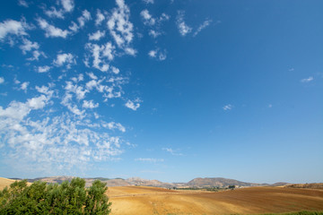 Obraz premium Andalusian landscape with yellow hills and blue sky with high white clouds