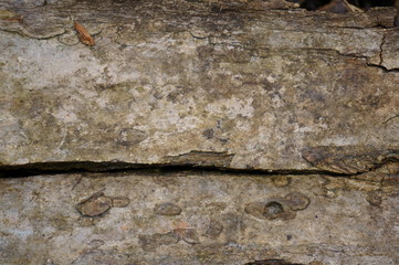 texture of old stone wall