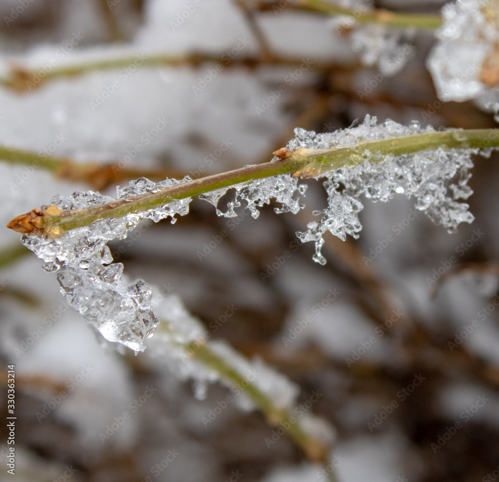 Poster the branch of the tree in cold winter is covered with ice sheets like diamonds