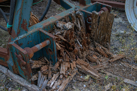 madera carcomida y desecha