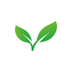 leaf icon vector logo template