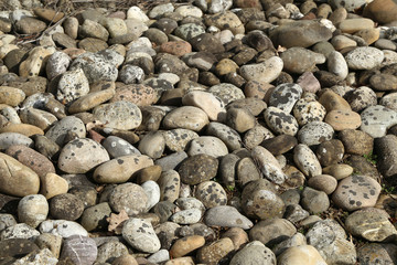 Random close up of some multi colored pebbles