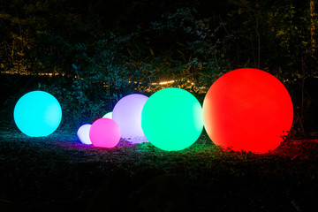 multicolored round lights installed in the forest