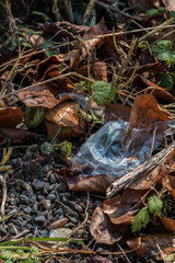 Plastic waste thrown away in the middle of nature