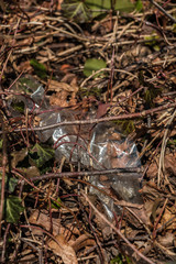 Plastic waste thrown away in the middle of nature