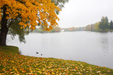 lake of autumn