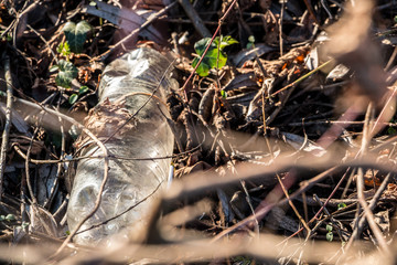 Plastic waste thrown away in the middle of nature